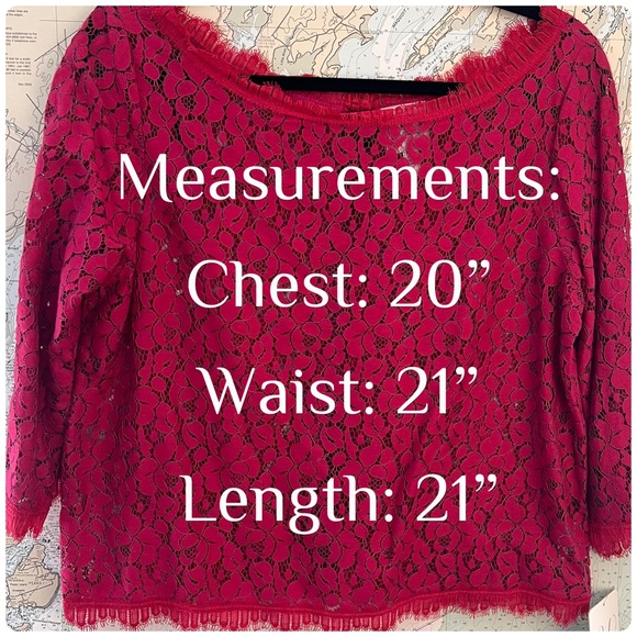 NWT! Anthropologie Weston Wear Pink Sheer Lace 3/4 Sleeve Blouse Size M - Picture 13 of 13